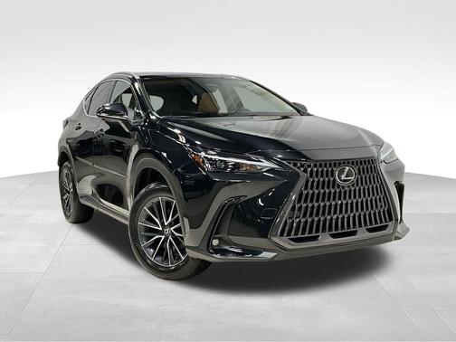 2025 Lexus NX 250 Premium