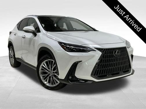 2025 Lexus NX 350h Luxury