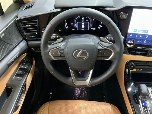 2022 Lexus NX 350 Luxury