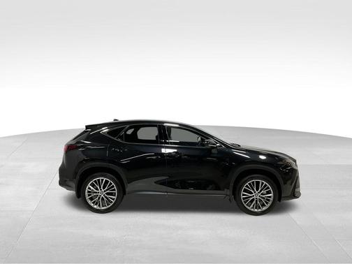 2025 Lexus NX 350h Premium