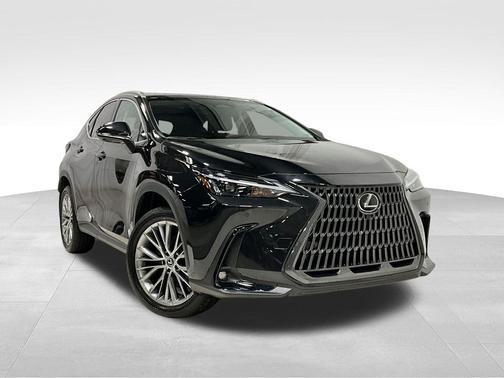 2025 Lexus NX 350h Premium