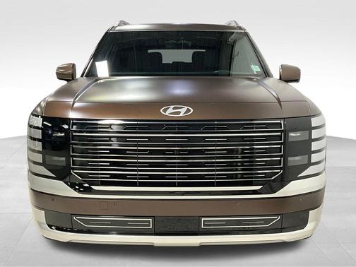 Earthy Brass Matte 2026 Hyundai PALISADE Calligraphy