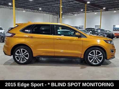 ELECTRIC SPICE 2015 Ford Edge Sport