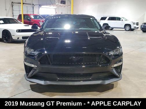 2019 Ford Mustang GT Premium