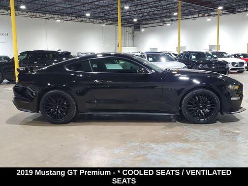 2019 Ford Mustang GT Premium