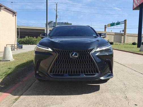 2024 Lexus NX 350h Luxury