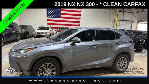 Nebula Gray Pearl 2019 Lexus NX 300 Base