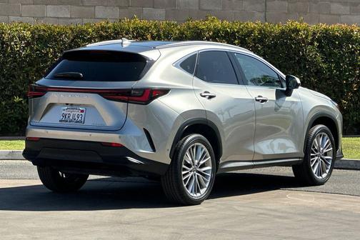 2024 Lexus NX 350h Luxury