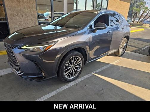 2022 Lexus NX 350 Luxury