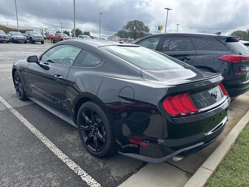 2019 Ford Mustang EcoBoost