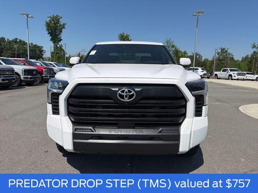 Ice Cap 2025 Toyota Tundra SR5