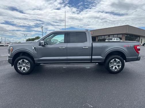 2021 Ford F-150 Platinum