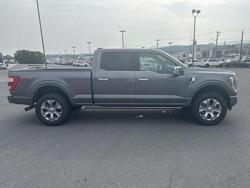 2021 Ford F-150 Platinum