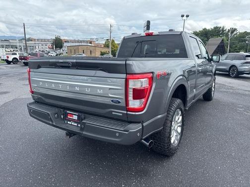 2021 Ford F-150 Platinum