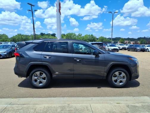 Magnetic Gray Metallic 2025 Toyota RAV4 Hybrid SE