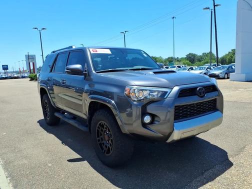Magnetic Gray Metallic 2019 Toyota 4Runner TRD Off Road Premium