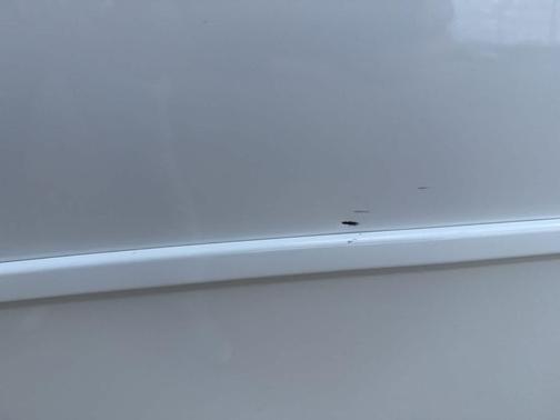 Ice Cap 2024 Toyota RAV4 Hybrid SE