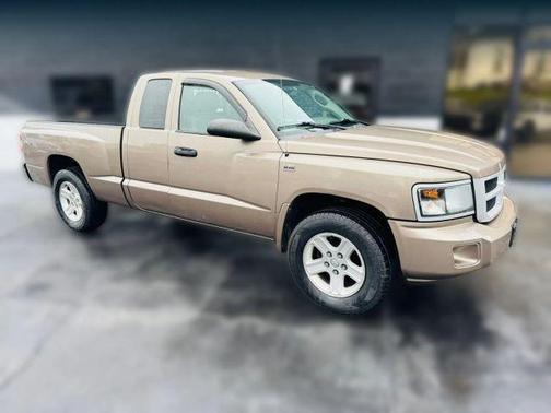 Gold 2010 Dodge Dakota BIG HORN/LONE STAR 6