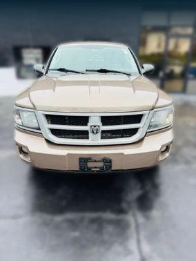 Gold 2010 Dodge Dakota BIG HORN/LONE STAR 6