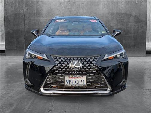 2025 Lexus UX 300h Premium