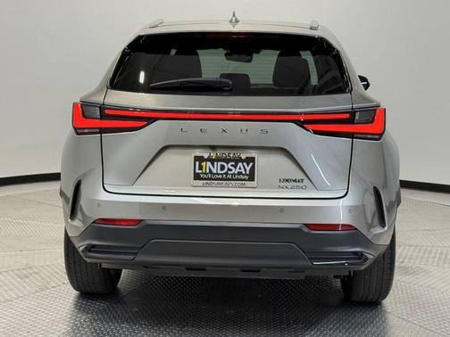 2024 Lexus NX 250 Premium