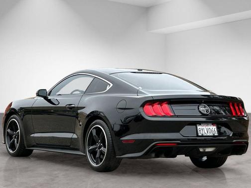 Shadow Black 2019 Ford Mustang Bullitt