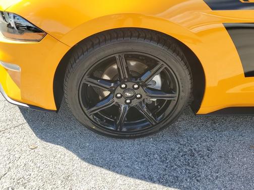 2019 Ford Mustang ECOBOOST