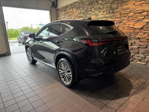 2025 Lexus NX 350 Premium