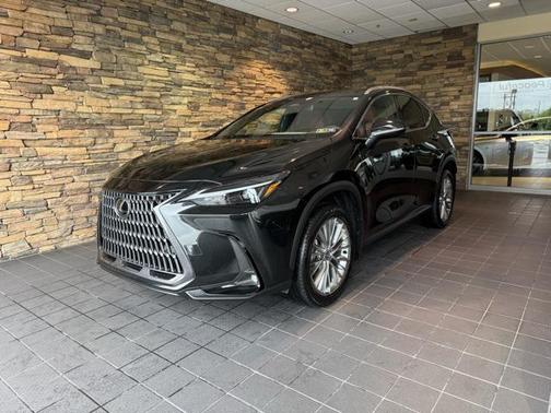2025 Lexus NX 350 Premium