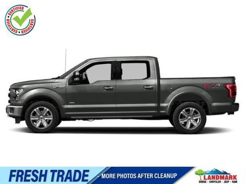 Gray 2015 Ford F-150 Platinum