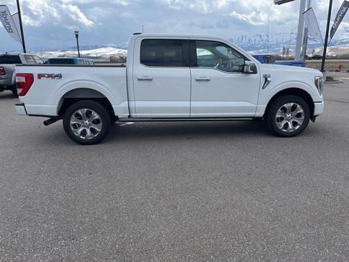 2021 Ford F-150 Platinum