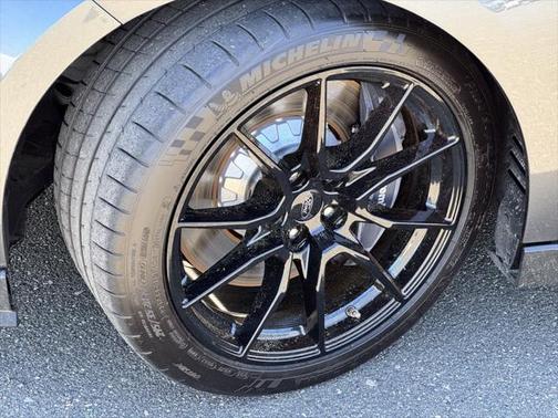 2019 Ford Shelby GT350 Base