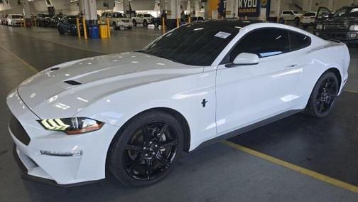 2019 Ford Mustang EcoBoost