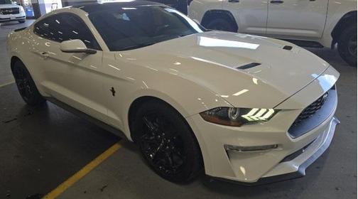 2019 Ford Mustang EcoBoost