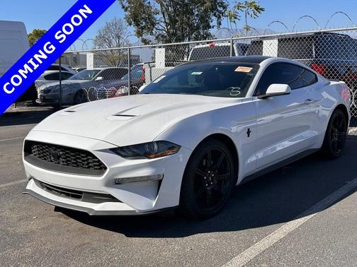 2019 Ford Mustang EcoBoost