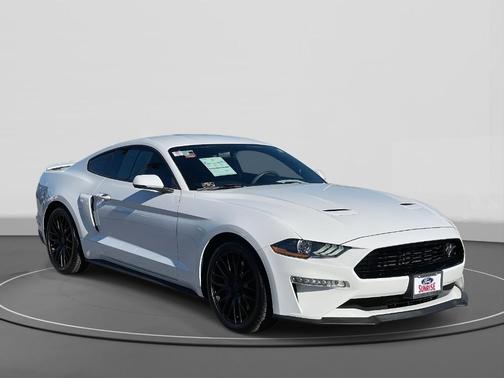 2019 Ford Mustang GT Premium