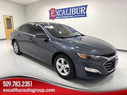 2019 Chevrolet Malibu 1LS