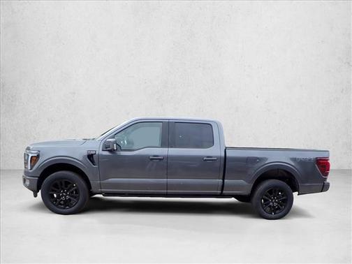 Carbonized Gray Metallic 2025 Ford F-150 Platinum