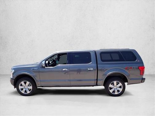 Magnetic Metallic 2019 Ford F-150 Platinum