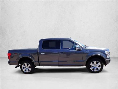 Magnetic Metallic 2018 Ford F-150 Platinum