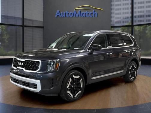 Panthera Metal 2025 Kia Telluride S