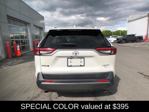 Blizzard Pearl 2019 Toyota RAV4 Limited