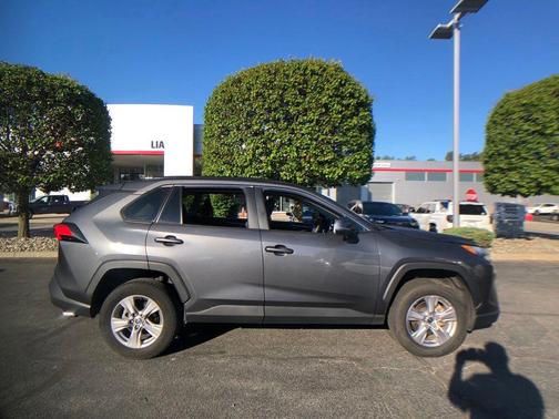 Magnetic Gray Metallic 2025 Toyota RAV4 XLE