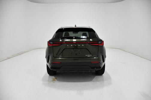 2025 Lexus NX 350h Premium