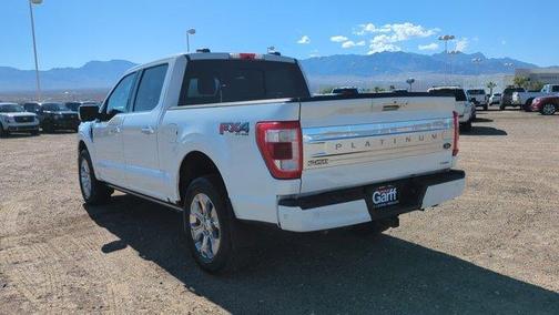 2021 Ford F-150 Platinum