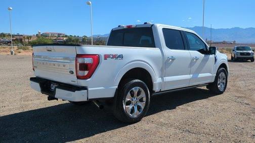 2021 Ford F-150 Platinum
