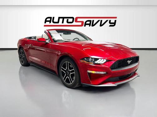 2019 Ford Mustang 