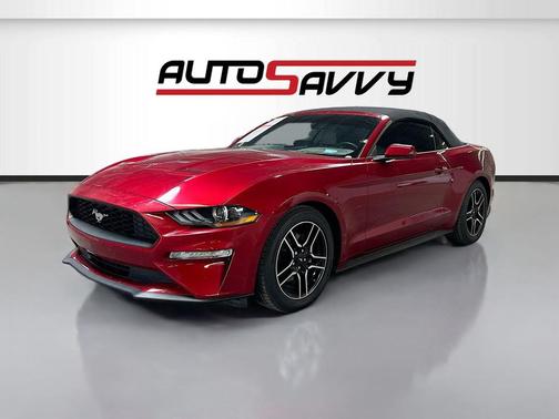 2019 Ford Mustang 