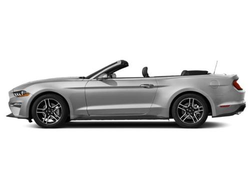 Ingot Silver Metallic 2019 Ford Mustang EcoBoost Premium