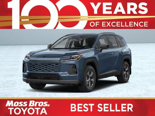 Storm 2026 Toyota RAV4 LE